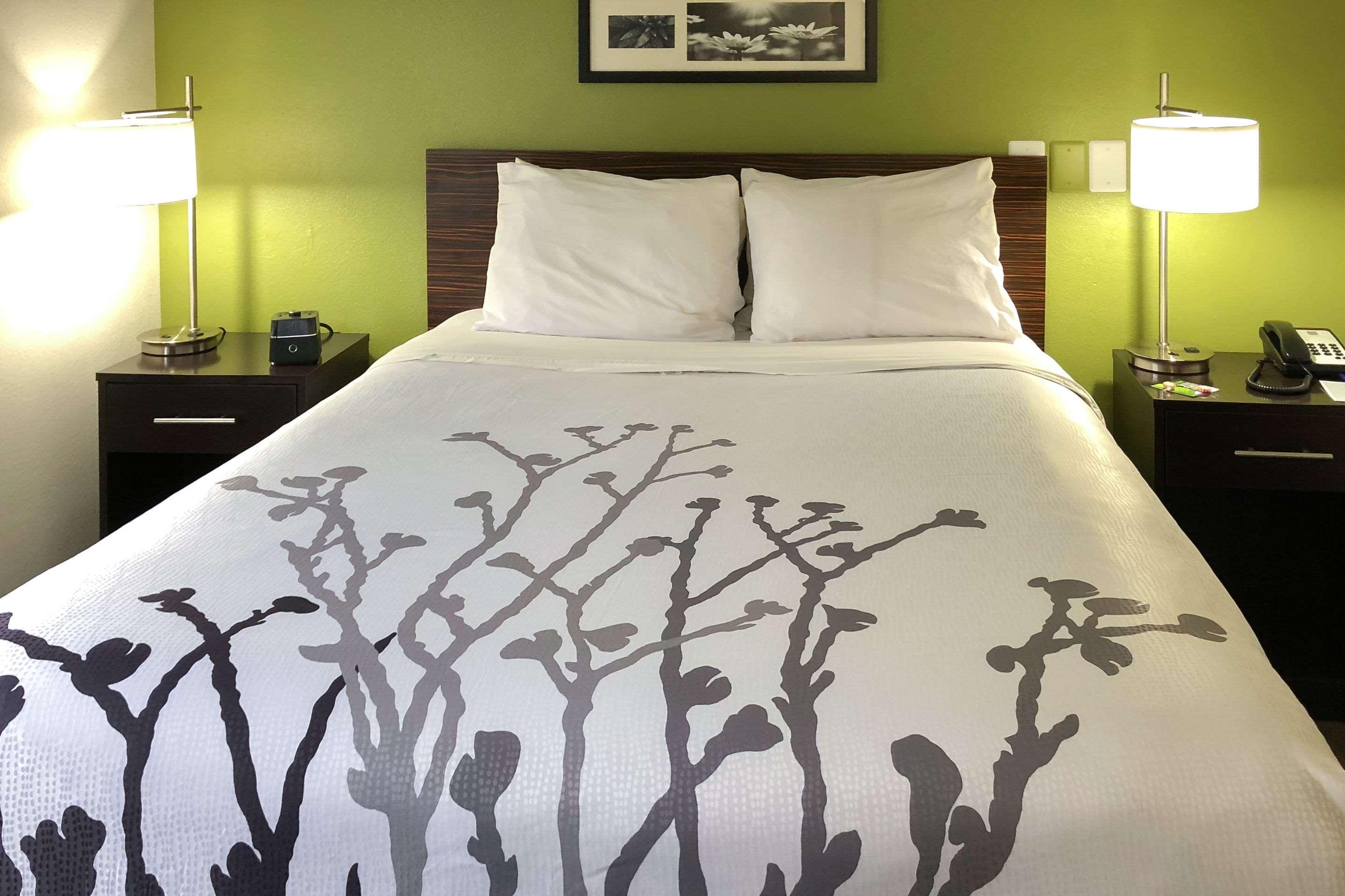 Sleep Inn McDonough  Kültér fotó